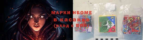 сатива Аркадак