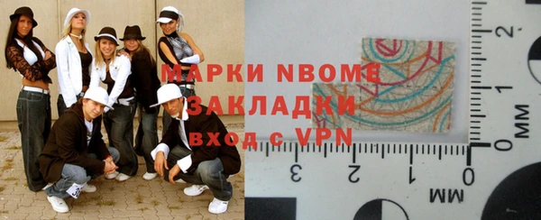 сатива Аркадак