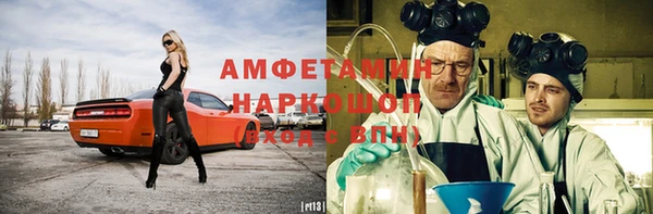 сатива Аркадак