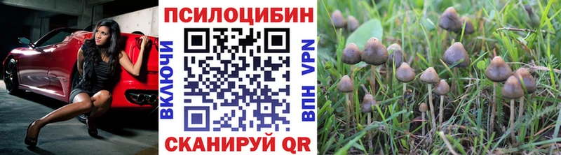 Галлюциногенные грибы ЛСД Чернушка