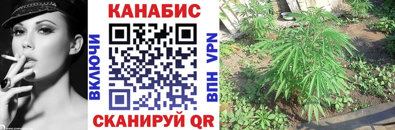 Бошки марихуана Bruce Banner  цена наркотик  MEGA как зайти  Чернушка 